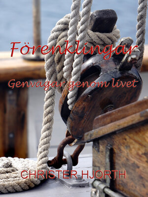cover image of Förenklingar